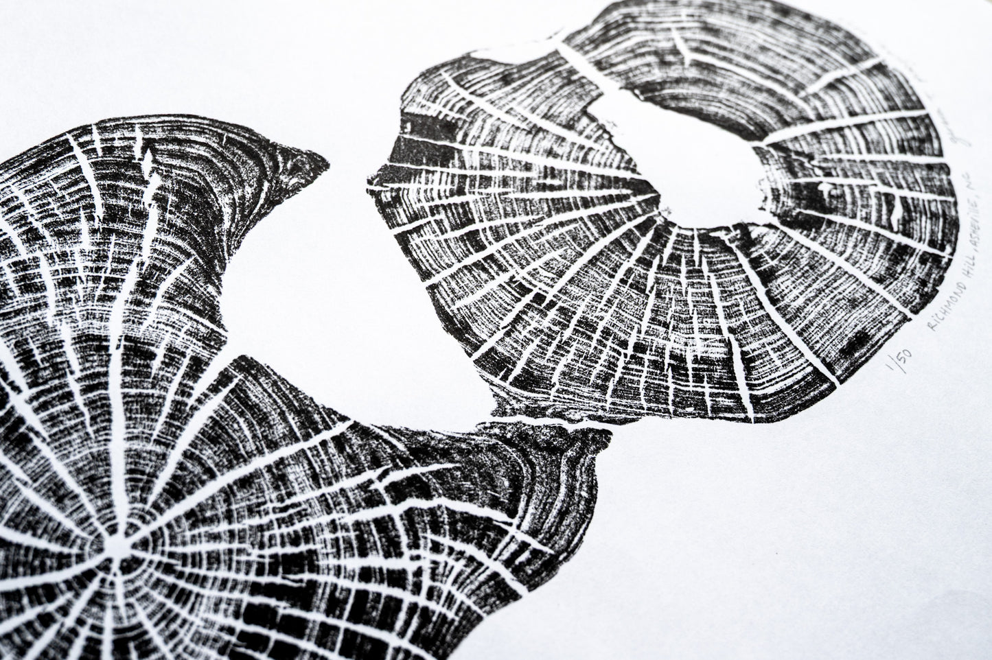 Double - Richmond Hill, Asheville, NC