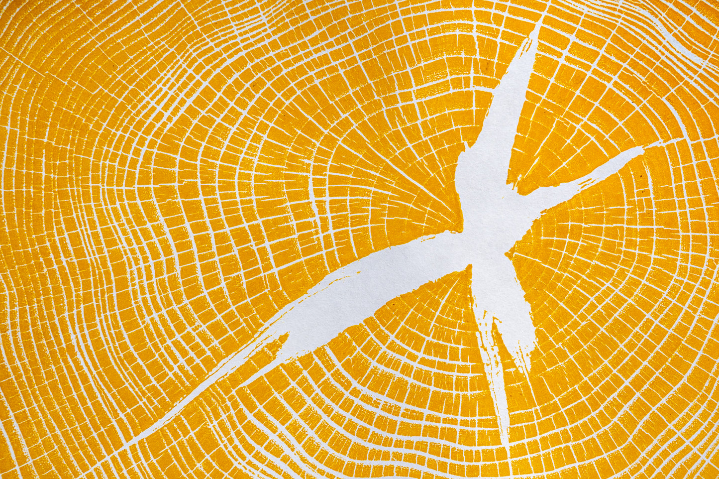 Osage Orange - Mechanicsville, VA | Yellow Two Tone Edition