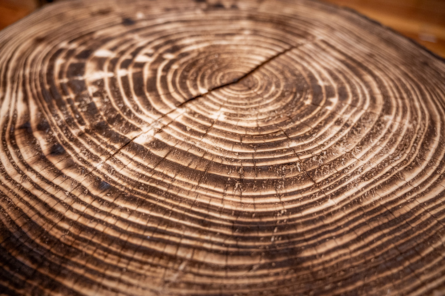 Helene Pine - Bee Tree Road, Swannanoa, NC