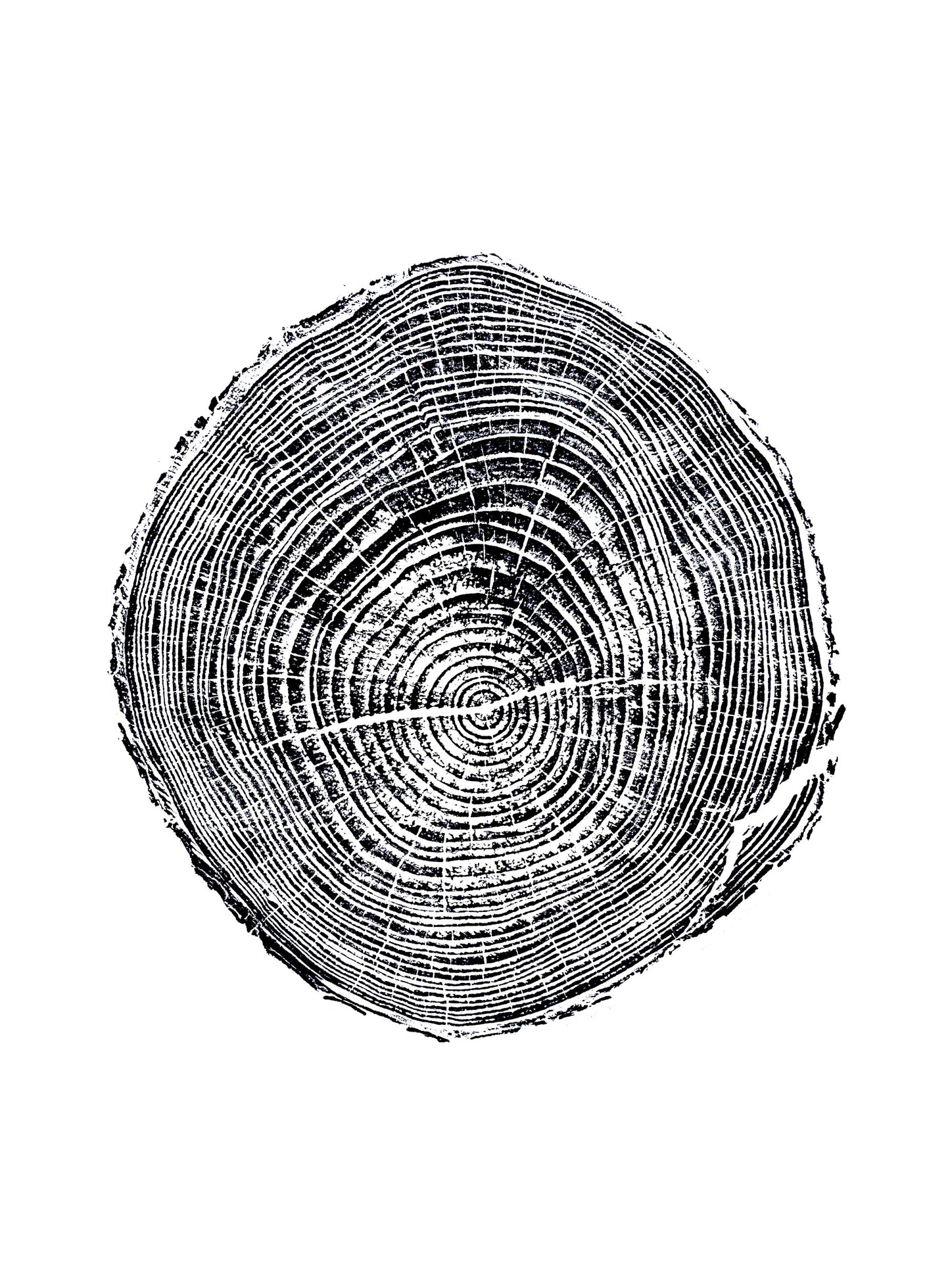 Helene Pine - Bee Tree Road, Swannanoa, NC