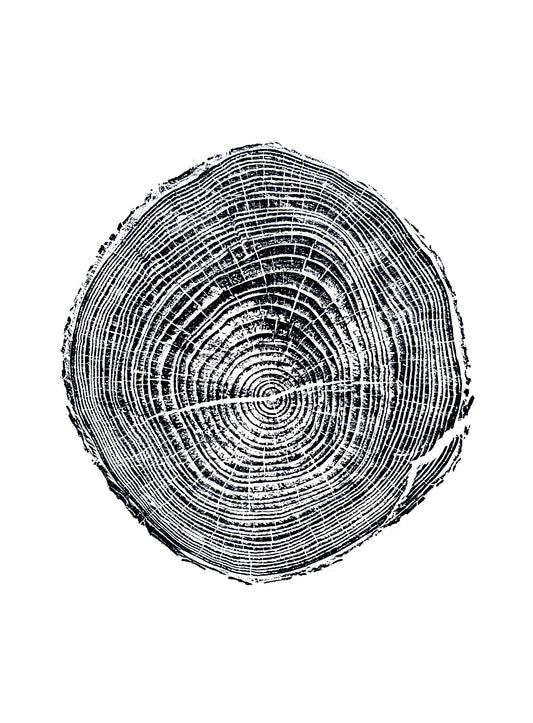 Helene Pine - Bee Tree Road, Swannanoa, NC