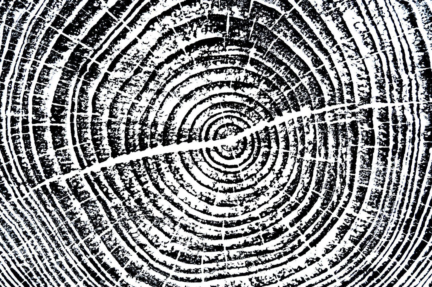 Helene Pine - Bee Tree Road, Swannanoa, NC