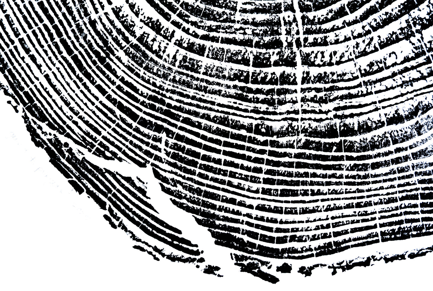 Helene Pine - Bee Tree Road, Swannanoa, NC