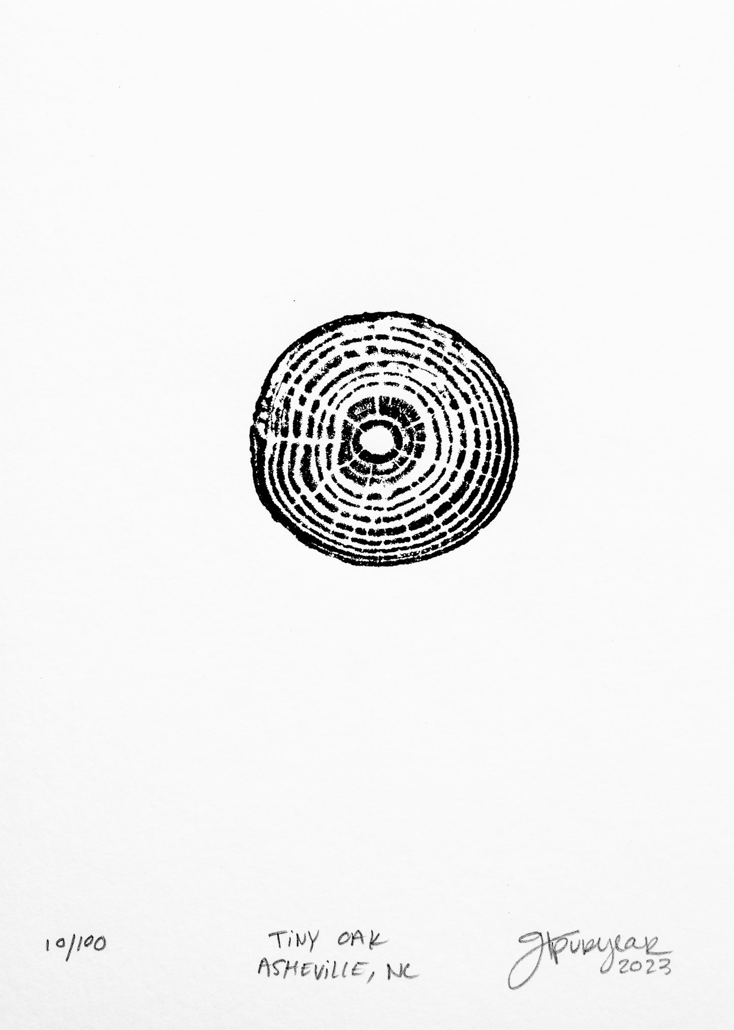 Tiny Oak - Asheville, NC