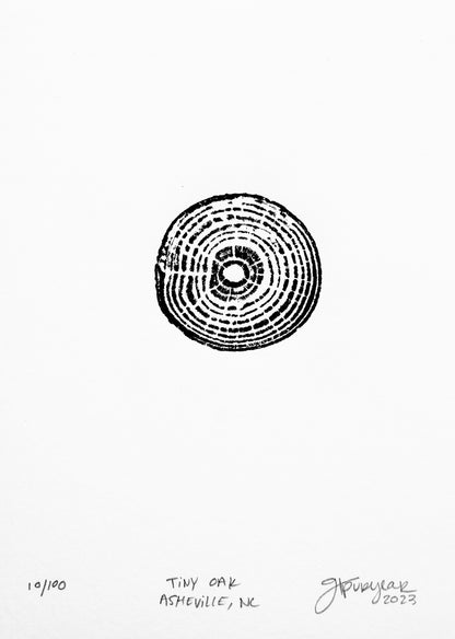 Tiny Oak - Asheville, NC