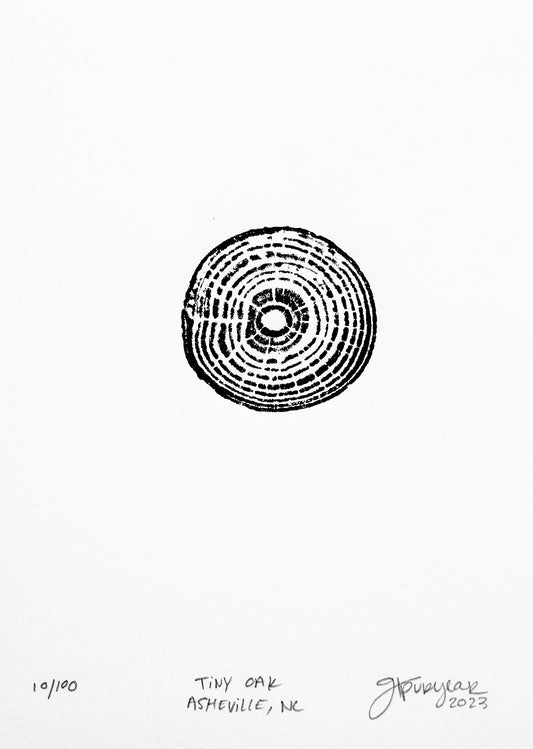 Tiny Oak - Asheville, NC