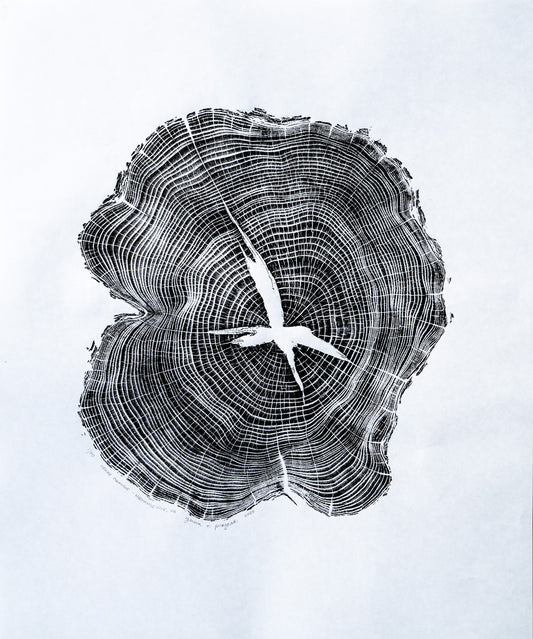 Osage Orange - Mechanicsville, VA | Black & White Edition