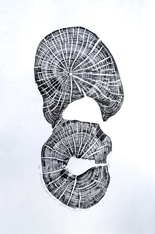 Double - Richmond Hill, Asheville, NC