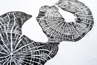 Double - Richmond Hill, Asheville, NC