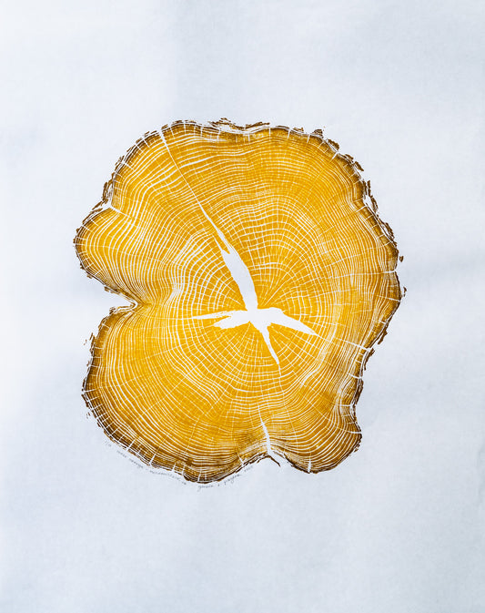 Osage Orange - Mechanicsville, VA | Yellow Two Tone Edition