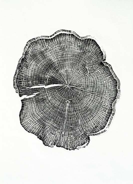 Saw Mill - Warren Wilson College, Swannanoa, NC