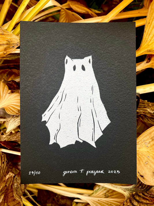 Ghost Cat
