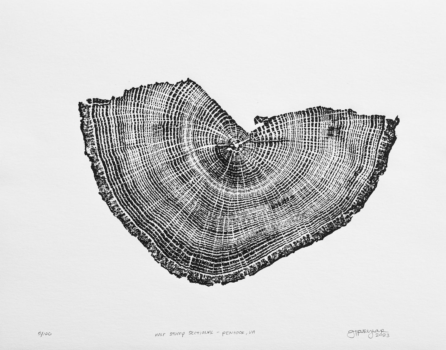 Half Stump Sectional - Penhook, VA