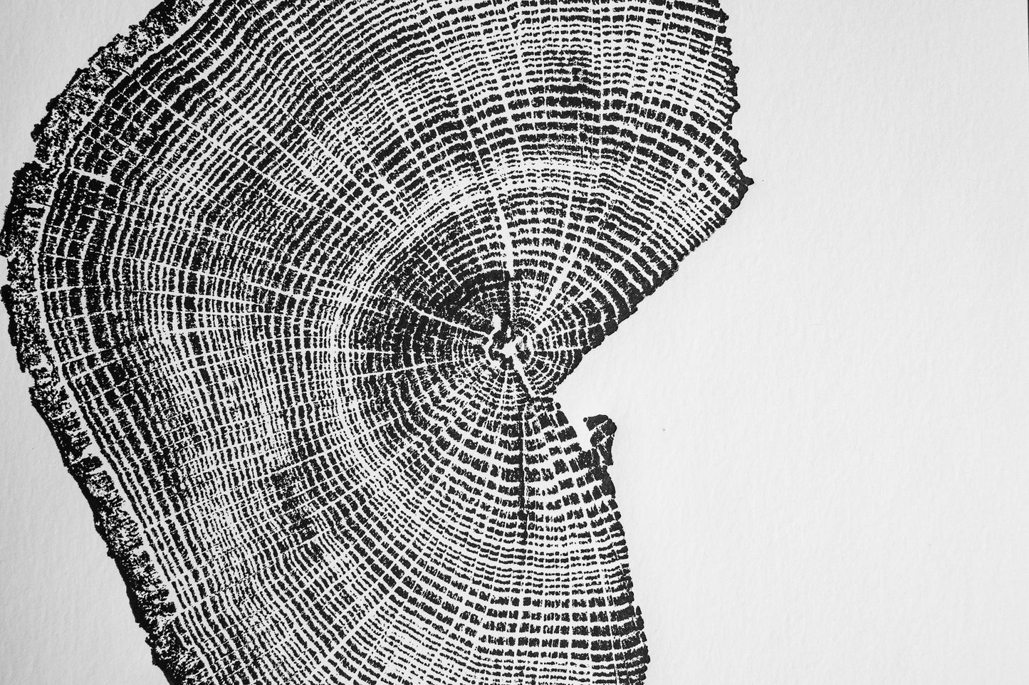 Half Stump Sectional - Penhook, VA