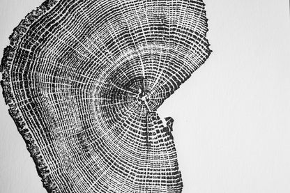 Half Stump Sectional - Penhook, VA