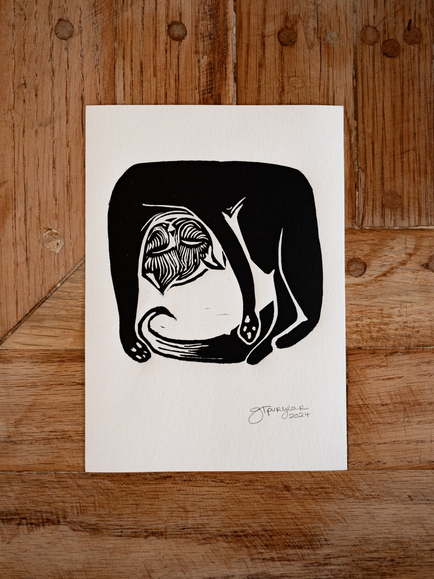 Square Yoga Cat | Black on White Edition