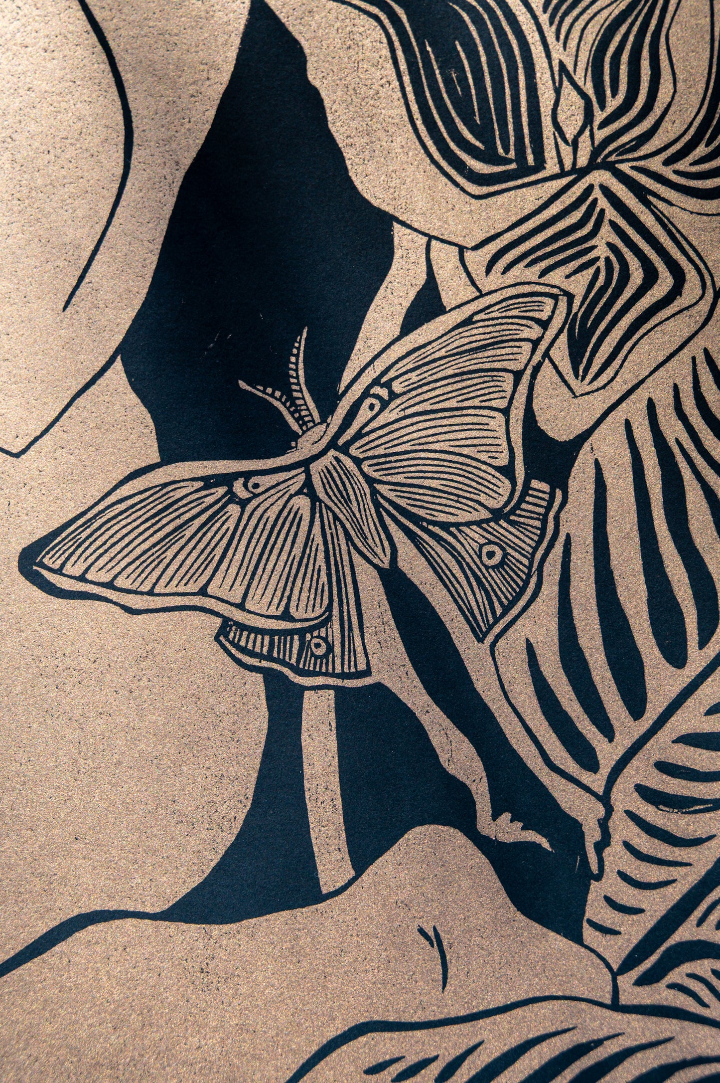 Moth Wings and Melancholy | Gold & Black Edition