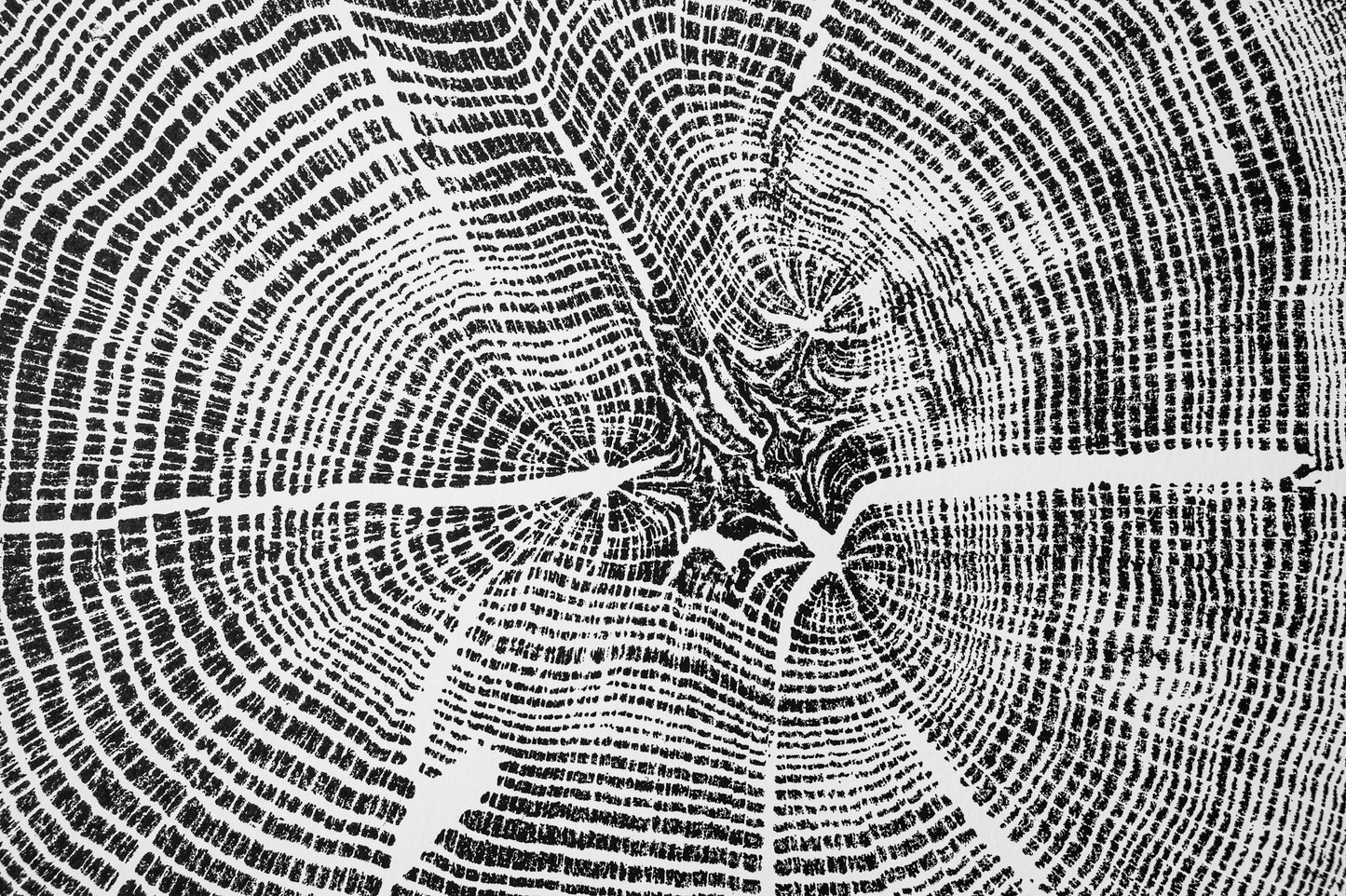 White Oak - Spartanburg, SC