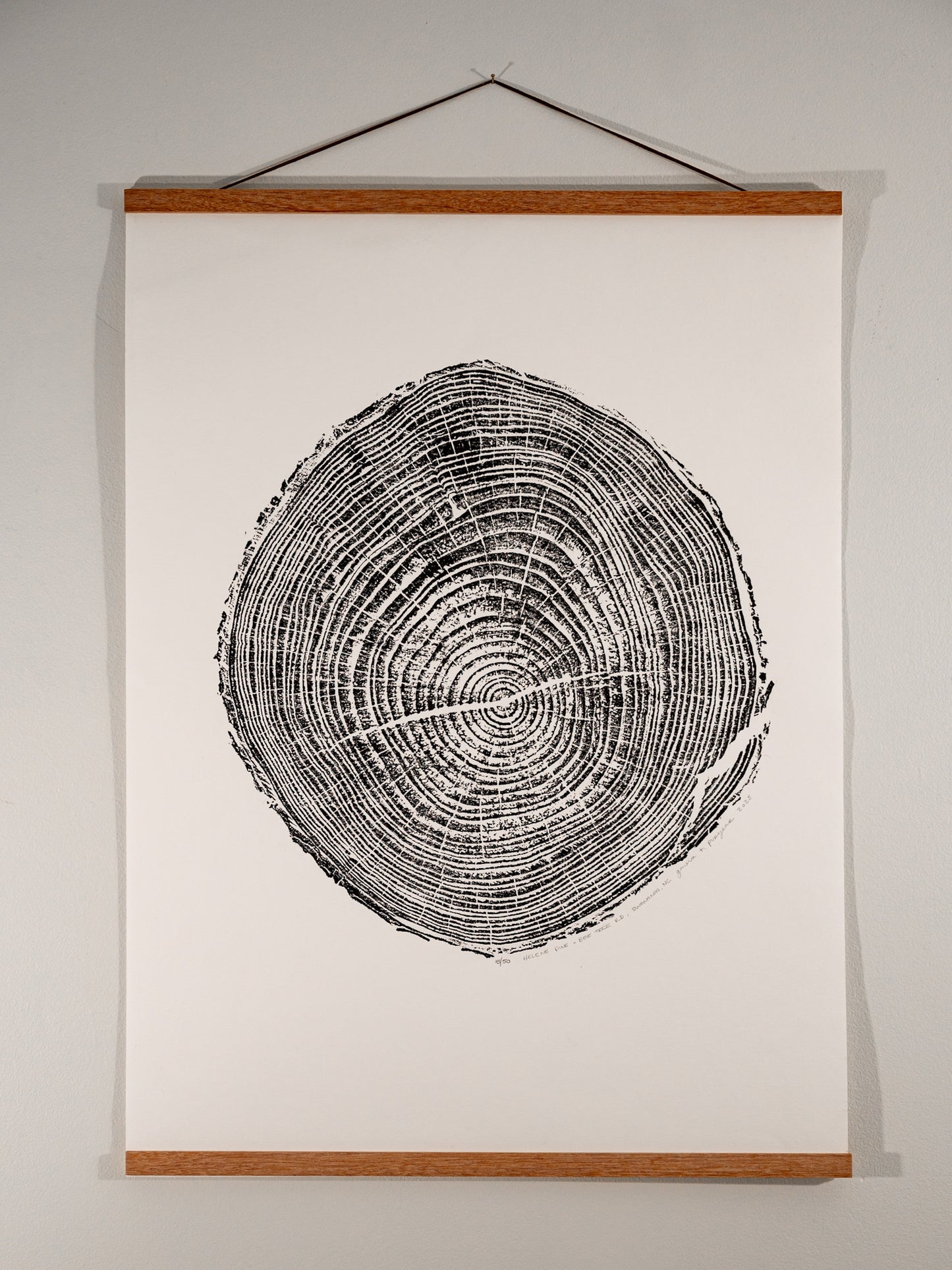 Helene Pine - Bee Tree Road, Swannanoa, NC