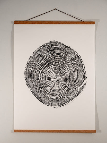 Helene Pine - Bee Tree Road, Swannanoa, NC