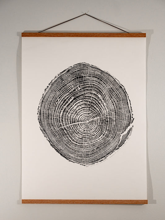 Helene Pine - Bee Tree Road, Swannanoa, NC