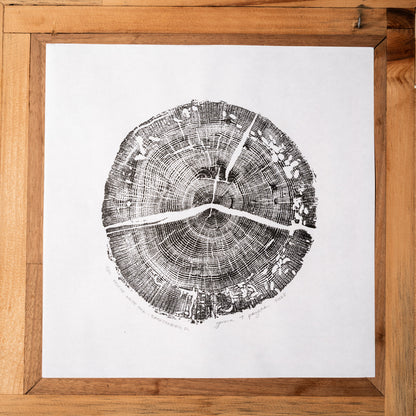 Helene White Oak - Spartanburg, SC | Original Tree Ring Print