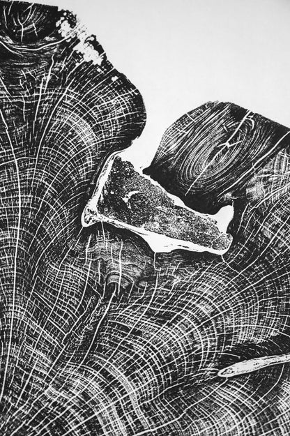 Cedar with Brick - Richmond, VA | Original Tree Ring Block Print