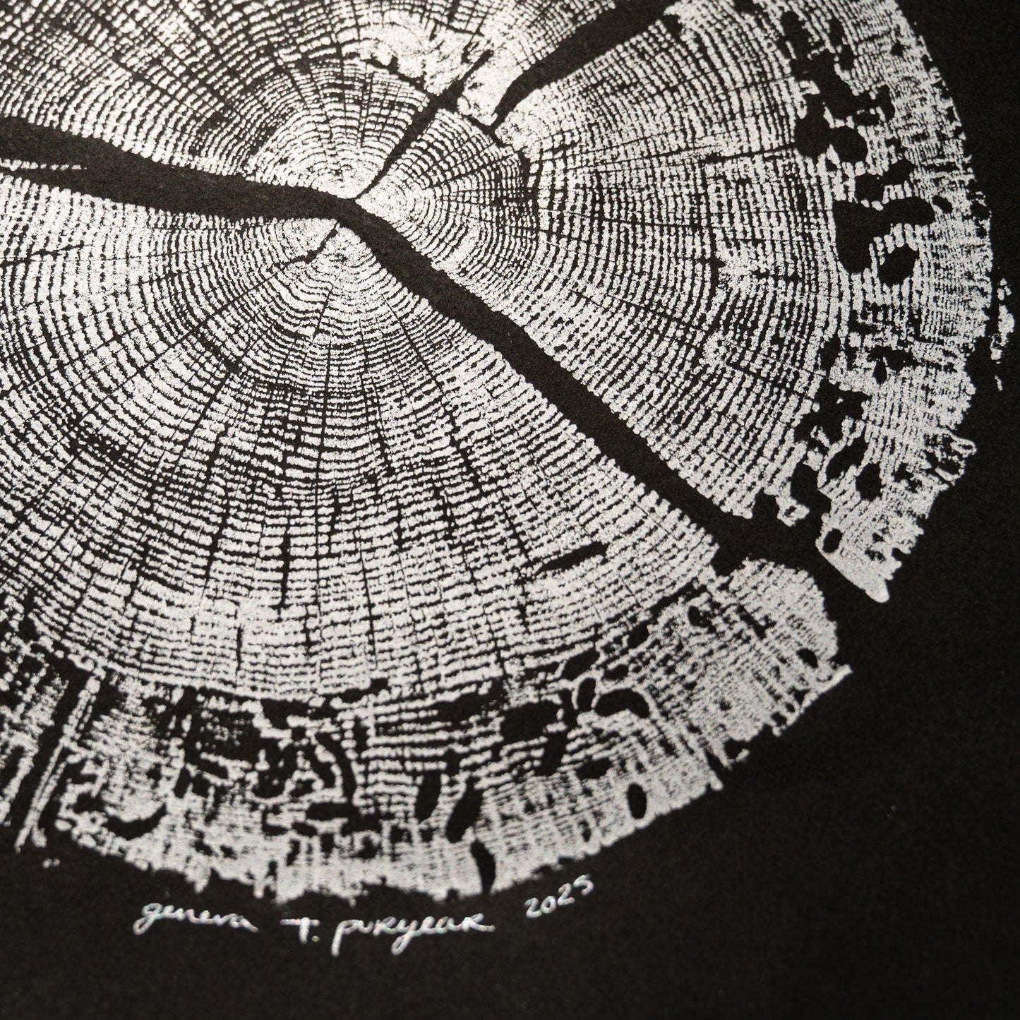 Helene White Oak - Spartanburg, SC | Black & White Edition
