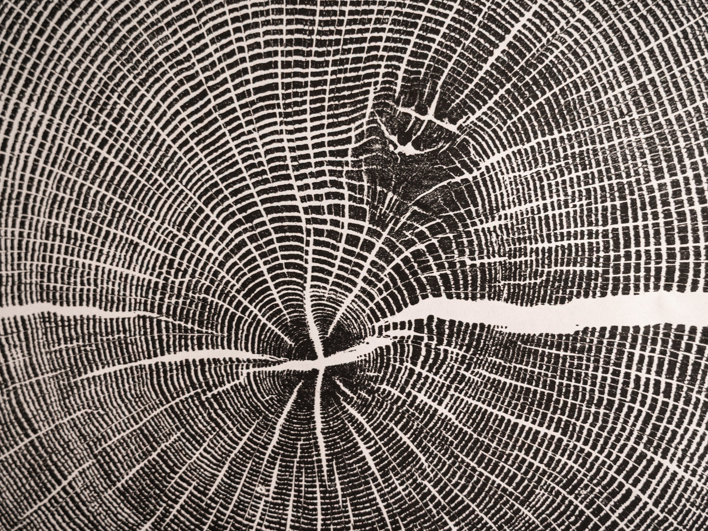 East Asheville, NC | Original Tree Ring Block Print