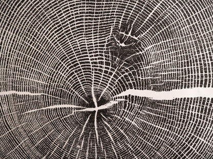 East Asheville, NC | Original Tree Ring Block Print
