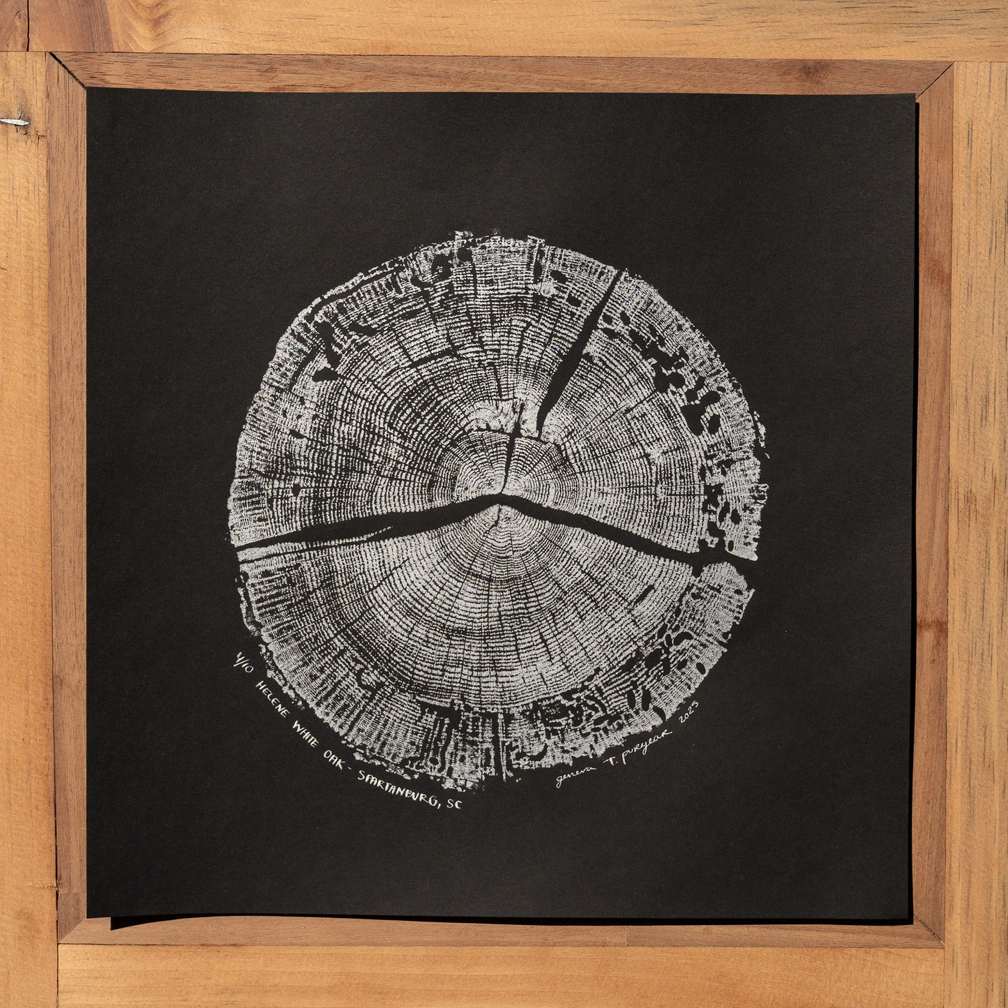 Helene White Oak - Spartanburg, SC | Black & White Edition