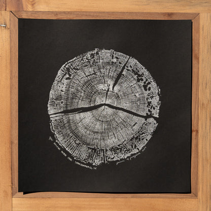 Helene White Oak - Spartanburg, SC | Black & White Edition