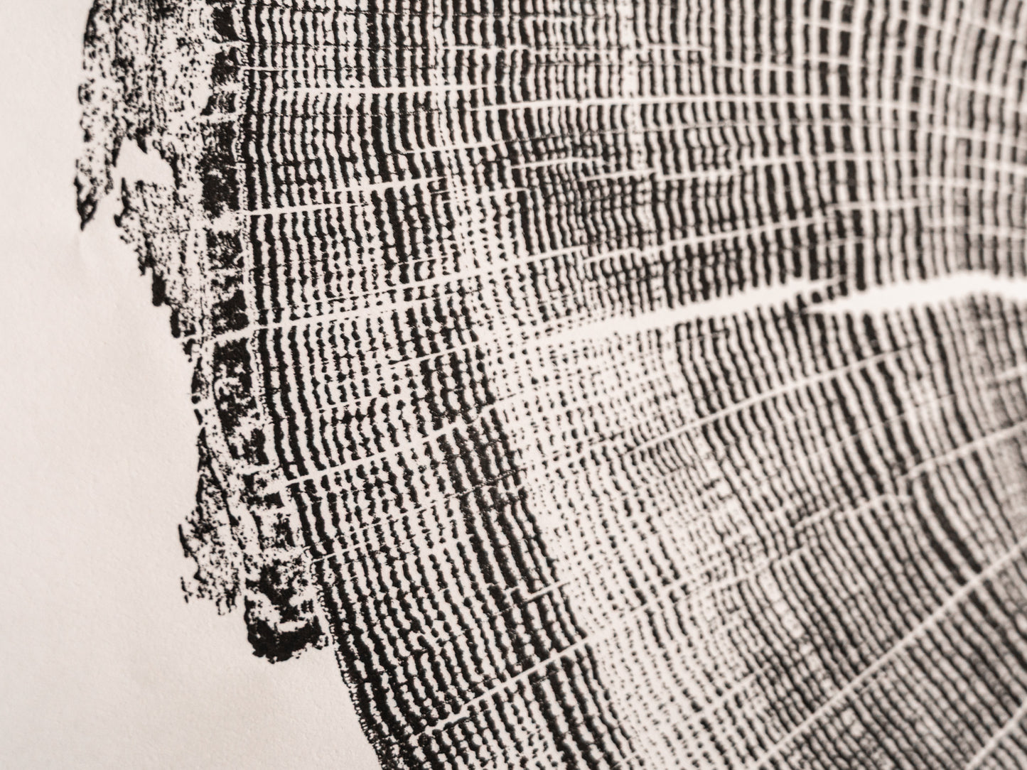 East Asheville, NC | Original Tree Ring Block Print