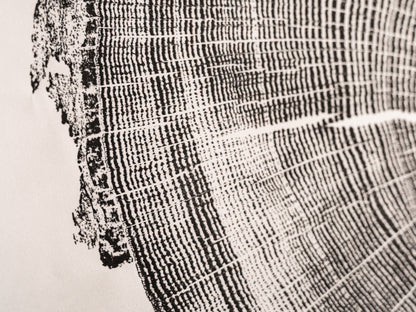 East Asheville, NC | Original Tree Ring Block Print